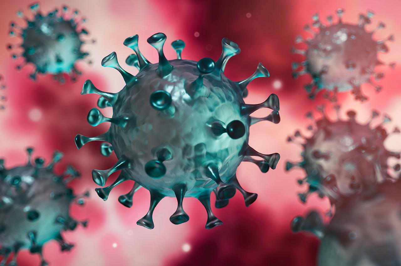 Information on our services during the Covid 19 pandemic